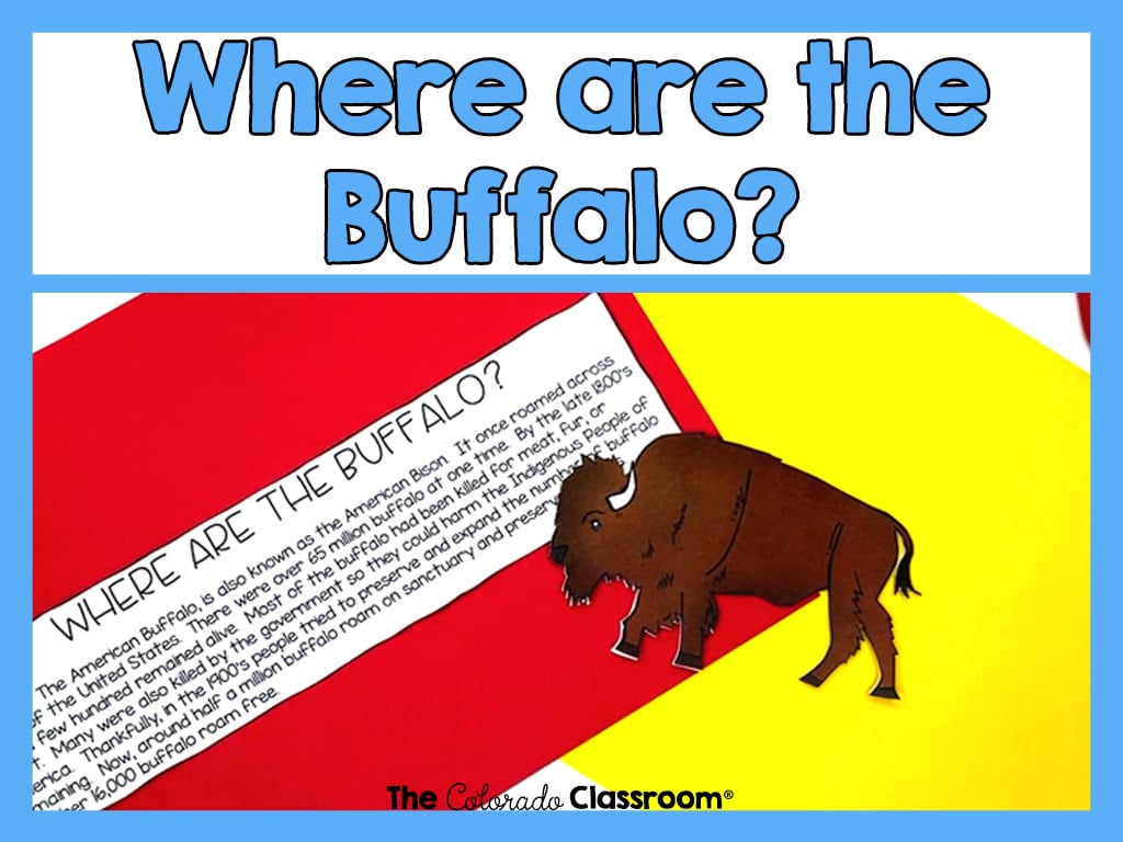 A light blue frame inside which is a red and yellow paper, on top of which is a short article on the buffalo and a buffalo foldable notes area. The words "Where are the Buffalo" are also in light blue, and "The Colorado Classroom" logo is in black.