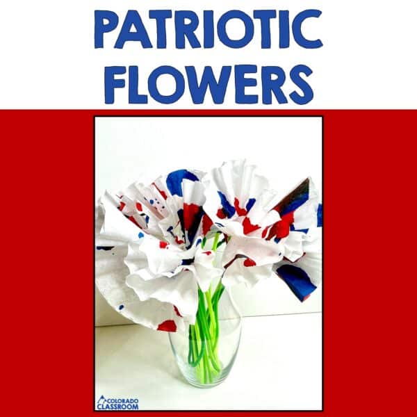 Patriotic flowers photographed