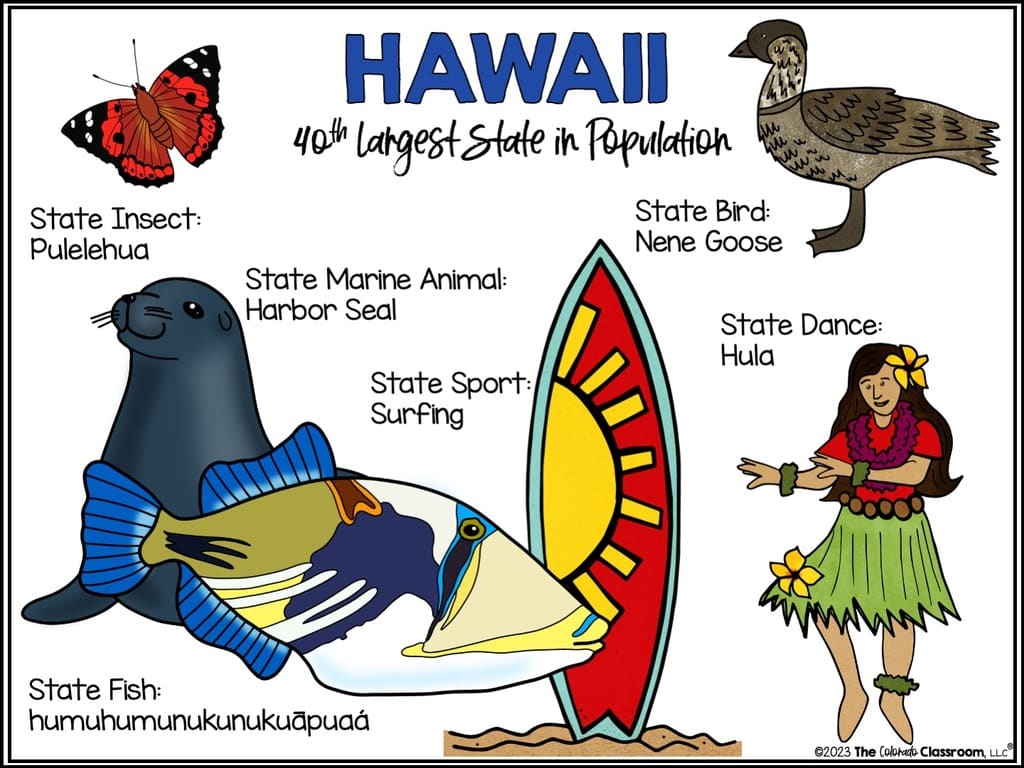 States and capitals with state symbols. The beautiful state of Hawaii with fauna and more.