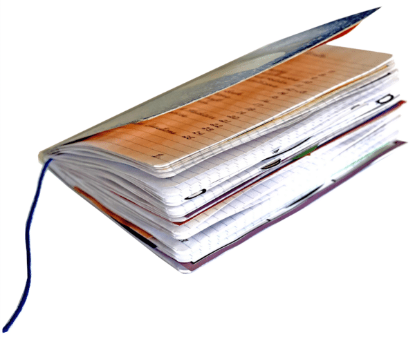 25 page interactive notebook guide - large size